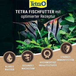 Tetra Crusta Menu