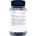 Orthica Folsäure Foliumzuur - 800 - 120 Tabletten