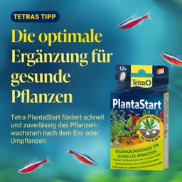 Tetra Active Substrat 6L - 6 l