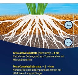 Tetra Active Substrat 6L - 6 l