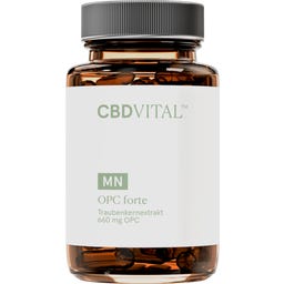 CBD VITAL OPC forte - 60 Kapseln