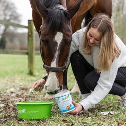 Stiefel Biotin Plus Pellet