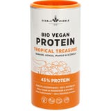 Schalk M&uuml;hle Bio Vegan Protein Tropical Treasure