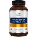 Wachteleier lyophilisiert, 360 Kapseln