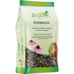 Stiefel Echinacea, geschnitten - 500 g