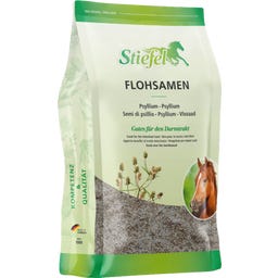 Stiefel Flohsamen, Schalen - 1 kg