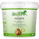 Stiefel Ingwer, gemahlen - 1 kg