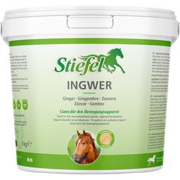 Stiefel Ingwer, gemahlen - 1 kg