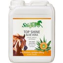 Top Shine Aloe Vera, 2,50 l