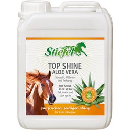 Stiefel Top Shine Aloe Vera - 2,50 l