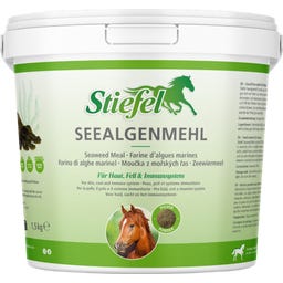 Stiefel Seealgenmehl - 1,50 kg