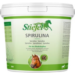 Stiefel Spirulina Pellet - 1,50 kg