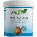 Stiefel Gastro Vital - 1 kg