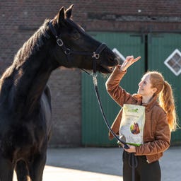 Stiefel Hustenkräuter