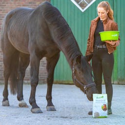 Stiefel Nervenkräuter