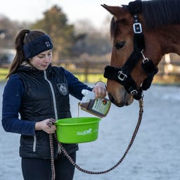 Stiefel Darmkräutersaft