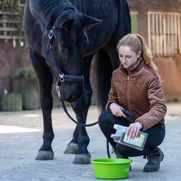 Stiefel Wurmkräutersaft