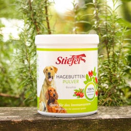 Stiefel Hagebuttenpulver