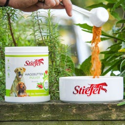 Stiefel Hagebuttenpulver