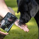 Stiefel Pflanzenkohle