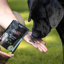 Stiefel Pflanzenkohle