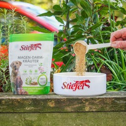 Stiefel Magen-Darm-Kräuter