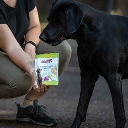Stiefel Beruhigungskräuter