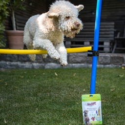 Stiefel Bewegungskräuter