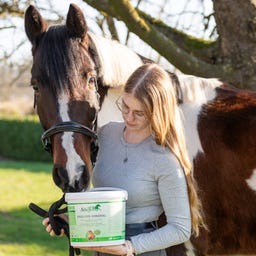 Stiefel Kräuter-Mineral