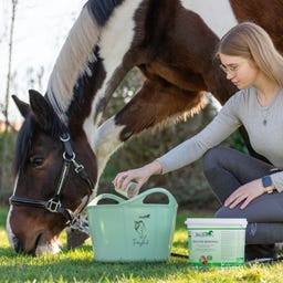 Stiefel Kräuter-Mineral