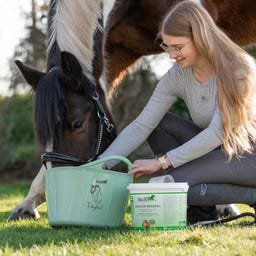 Stiefel Kräuter-Mineral