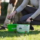 Stiefel Pflanzenkohle