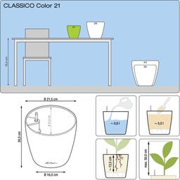 Lechuza Pflanzgefäß CLASSICO Color 21