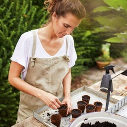 Compo BIO Anzucht- und Kräuter-Erde torffrei