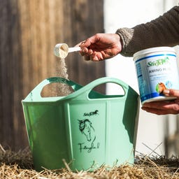 Stiefel Amino Plus - 1 kg