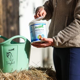 Stiefel Amino Plus - 1 kg