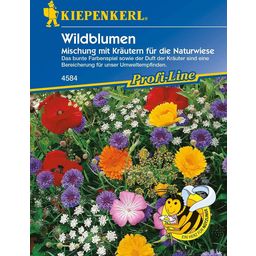 Kiepenkerl Wildblumen & Kräuter - 1 Pkg