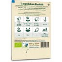 Samen Maier Bio Fadenlose Stangenbohne 