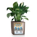 Lechuza Pflanzgefäß CUBE Premium 30