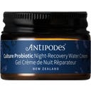 Culture Probiotic Night Recovery Water Cream, 15 ml