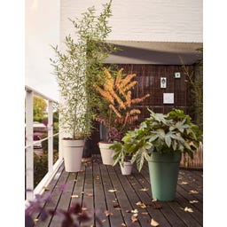 elho loft urban rund hoch 35