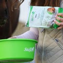 Stiefel Anis, ganze Samen