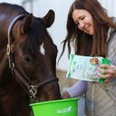 Stiefel Anis, ganze Samen