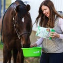 Stiefel Anis, ganze Samen