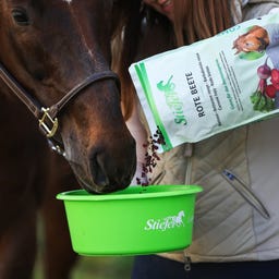 Stiefel Rote Beete Flocken - 1,70 kg