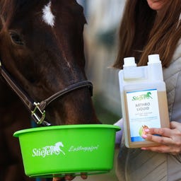 Stiefel Arthro Liquid