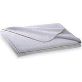 Steiner 1888 Decke Alina