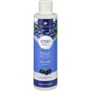 Alkemilla Glanz-Shampoo - 200 ml