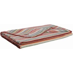 Steiner 1888 Kinderdecke Leon