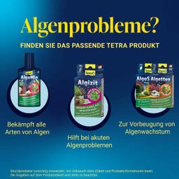 Tetra AlguMin